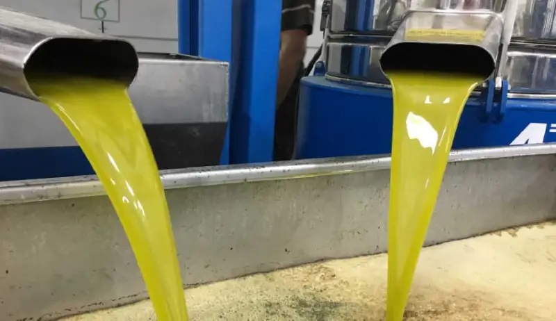 توقعات برقم قياسي للعائدات..   تونس تستفيد من تضاعف الأسعار العالمية لزيت الزيتون ..